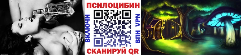 KRAKEN ONION  Озёры  Галлюциногенные грибы прущие грибы 