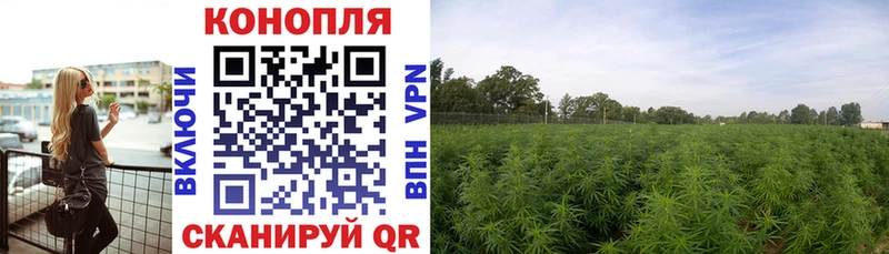 Канабис LSD WEED мориарти наркотические препараты Озёры где купить наркоту